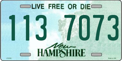 NH license plate 1137073