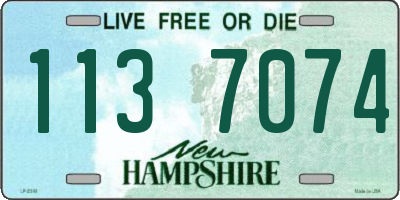 NH license plate 1137074