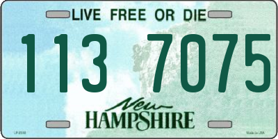 NH license plate 1137075