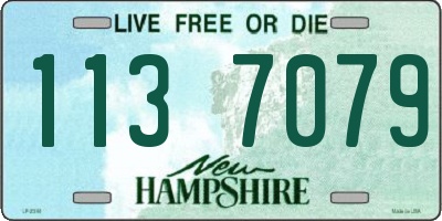 NH license plate 1137079