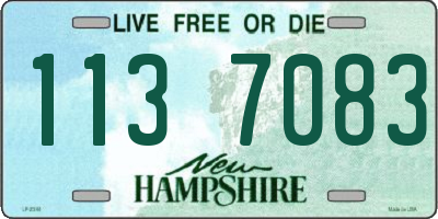 NH license plate 1137083