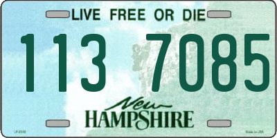 NH license plate 1137085