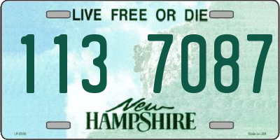 NH license plate 1137087