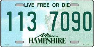 NH license plate 1137090