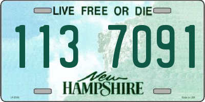 NH license plate 1137091
