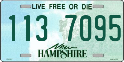 NH license plate 1137095
