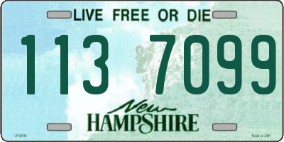 NH license plate 1137099