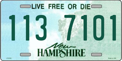 NH license plate 1137101