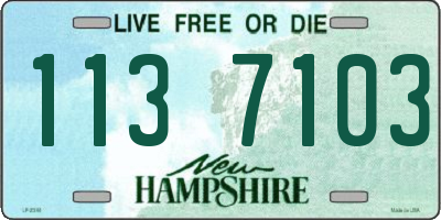 NH license plate 1137103