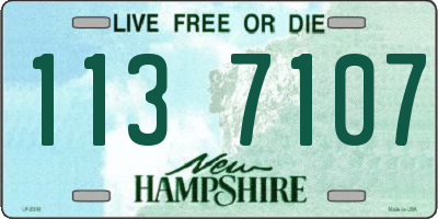 NH license plate 1137107