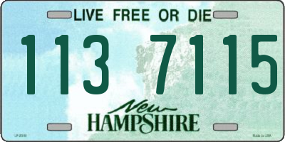 NH license plate 1137115