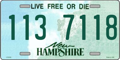 NH license plate 1137118