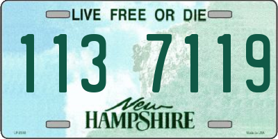 NH license plate 1137119