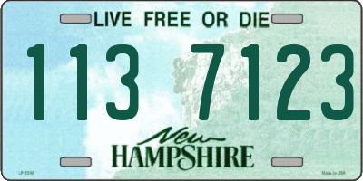 NH license plate 1137123