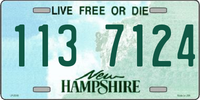 NH license plate 1137124