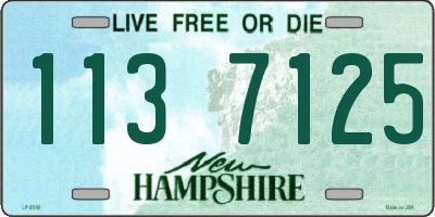 NH license plate 1137125