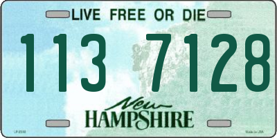NH license plate 1137128