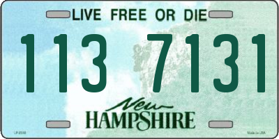 NH license plate 1137131