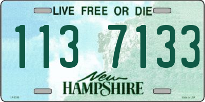 NH license plate 1137133