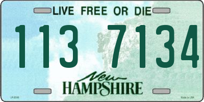 NH license plate 1137134