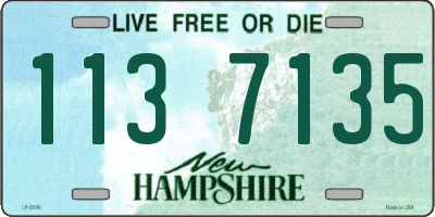 NH license plate 1137135