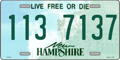 NH license plate 1137137