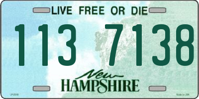 NH license plate 1137138