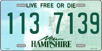 NH license plate 1137139