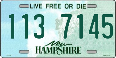 NH license plate 1137145