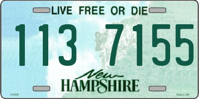 NH license plate 1137155