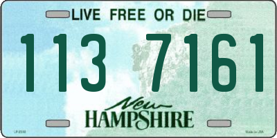 NH license plate 1137161