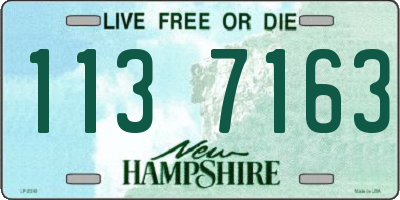 NH license plate 1137163