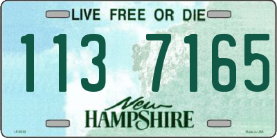NH license plate 1137165