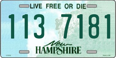NH license plate 1137181