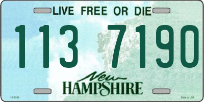 NH license plate 1137190