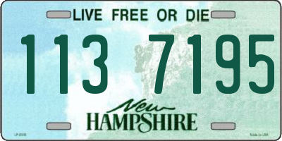 NH license plate 1137195