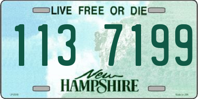 NH license plate 1137199
