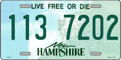 NH license plate 1137202