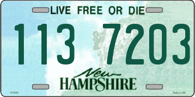 NH license plate 1137203