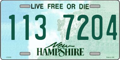 NH license plate 1137204