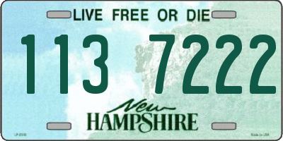 NH license plate 1137222