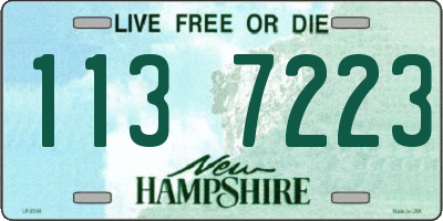 NH license plate 1137223