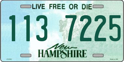 NH license plate 1137225