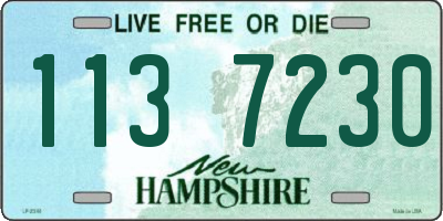 NH license plate 1137230