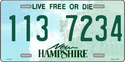 NH license plate 1137234