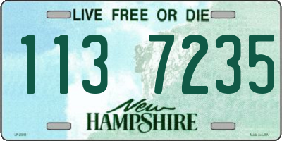 NH license plate 1137235