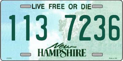 NH license plate 1137236