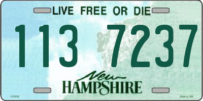 NH license plate 1137237