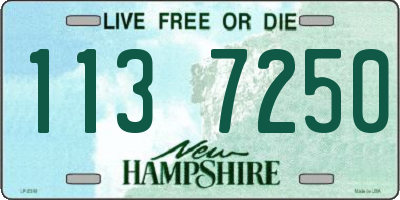 NH license plate 1137250