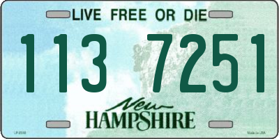 NH license plate 1137251